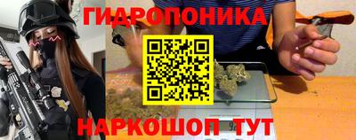 шишки Будённовск