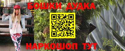 шишки Будённовск