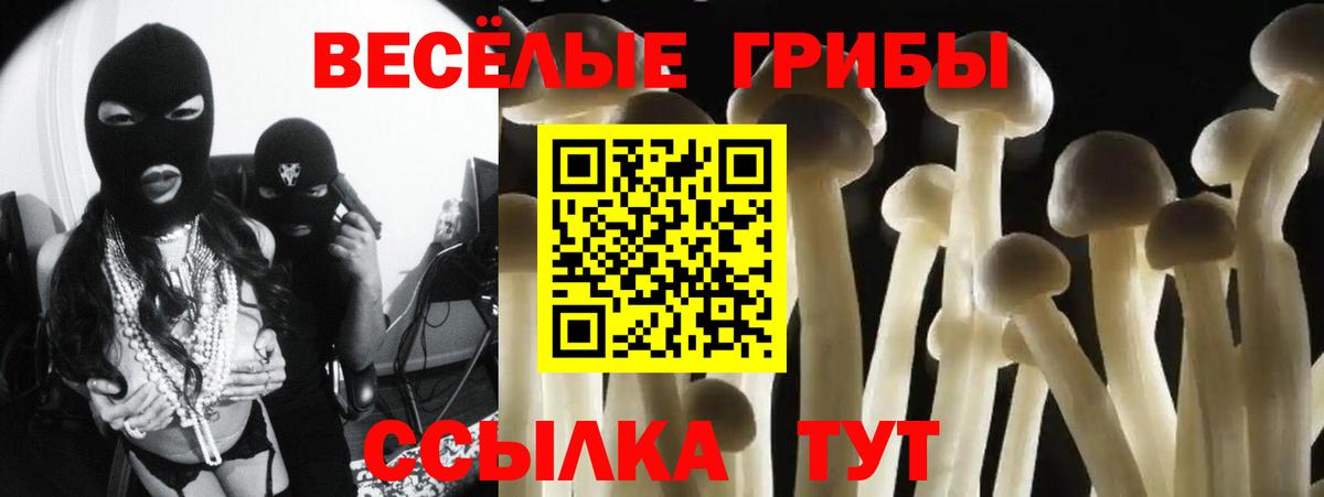 Артёмовский  Галлюциногенные грибы Psilocybine cubensis  Вход с VPN 