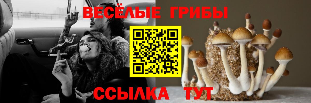 Псилоцибиновые грибы Magic Shrooms Артёмовский